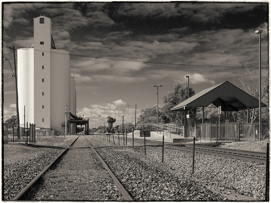 Tamin by Paul Amyes on 500px.com