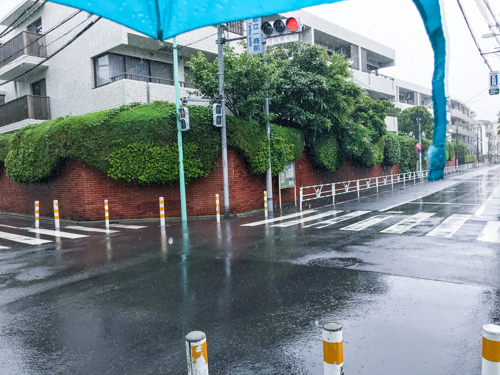 rain by chu fujimura on 500px.com