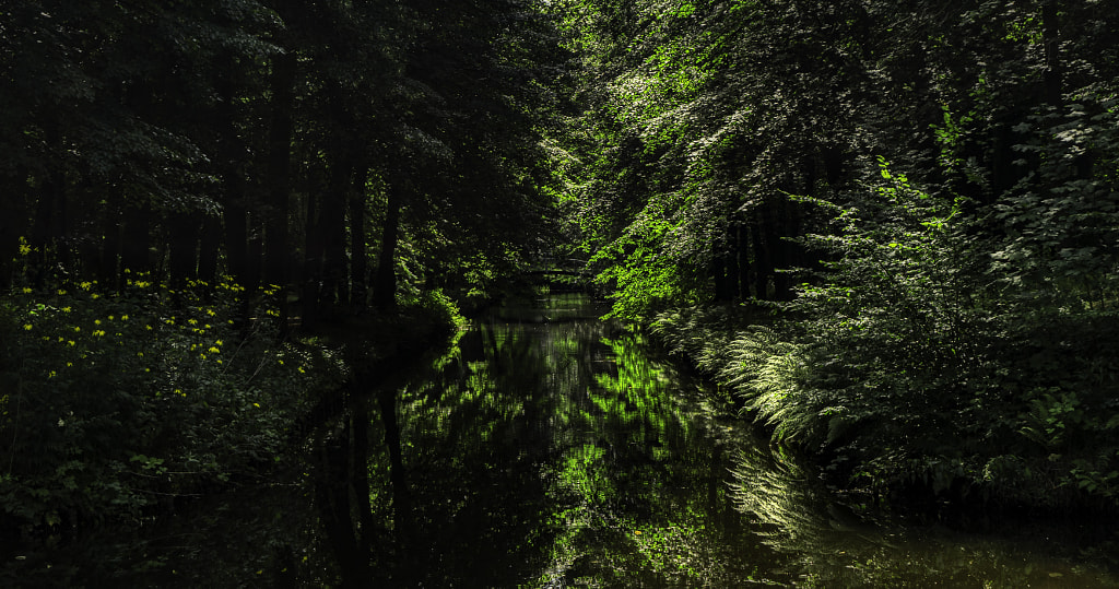 hidden bridge by dirk derbaum on 500px.com