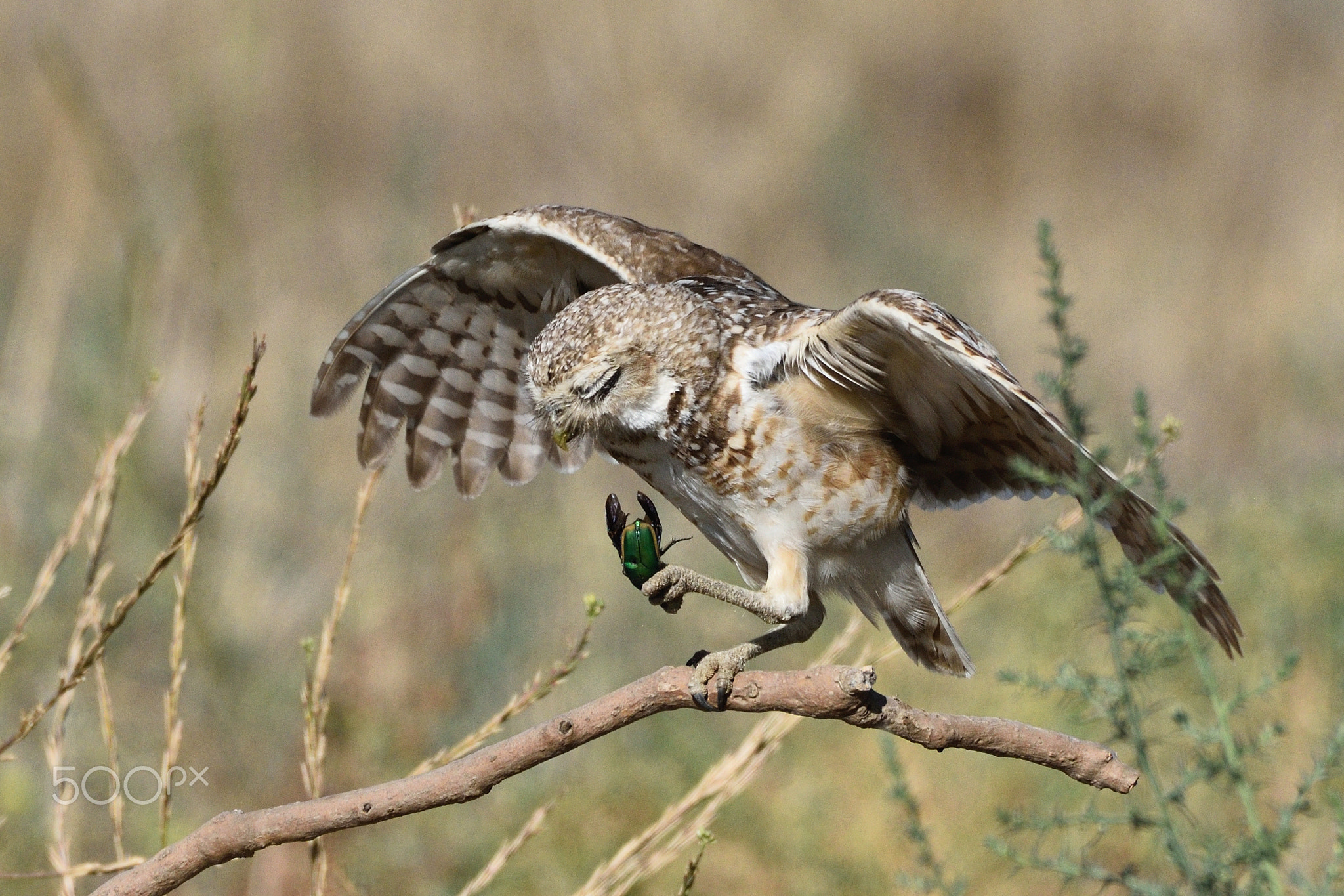 Where is my Microphone