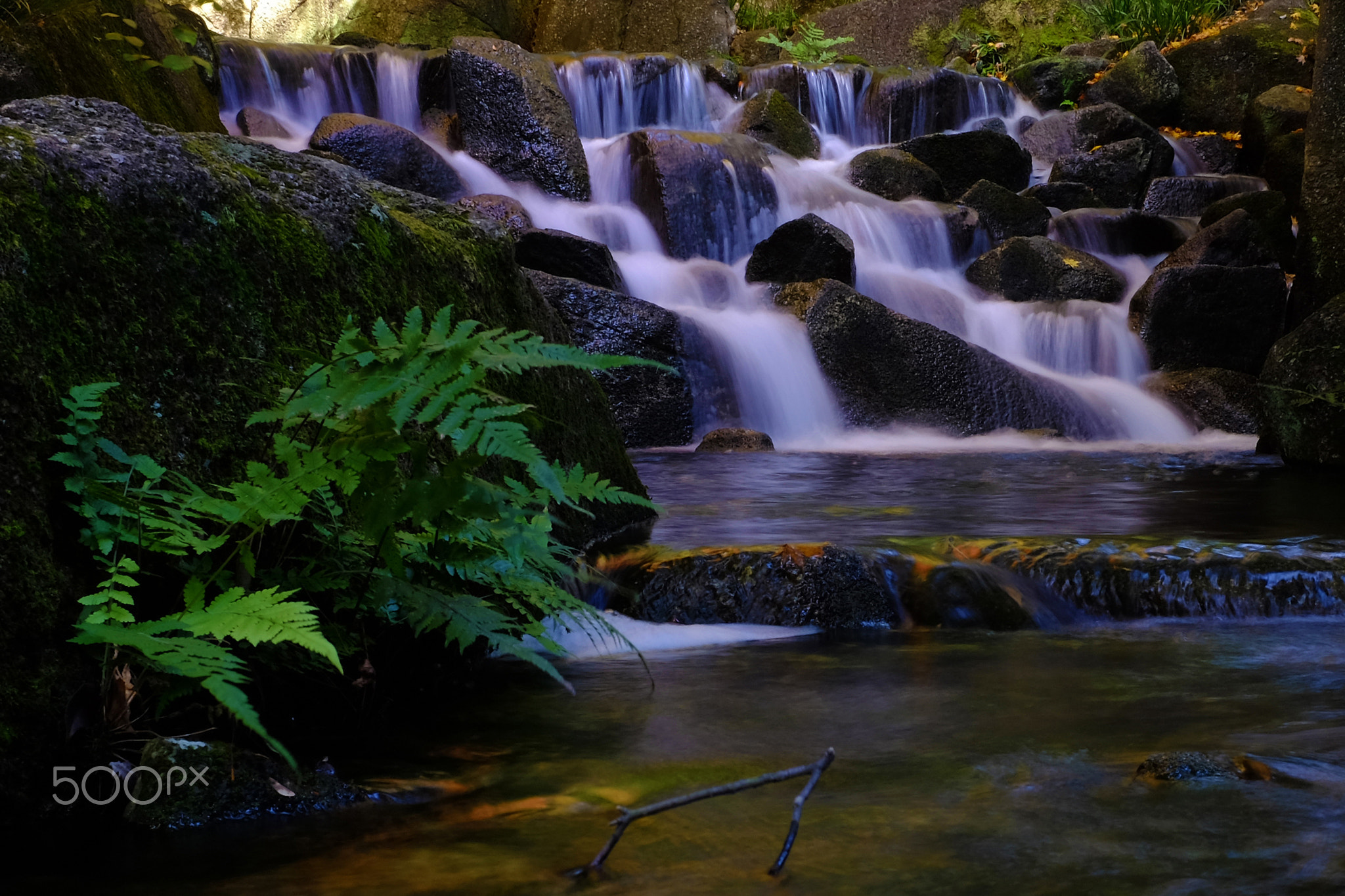 River in the temple