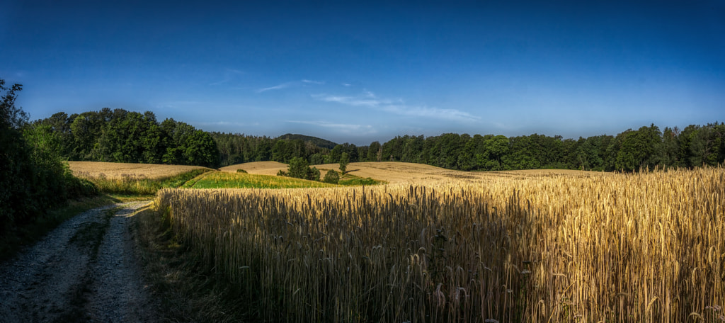 landscape by dirk derbaum on 500px.com