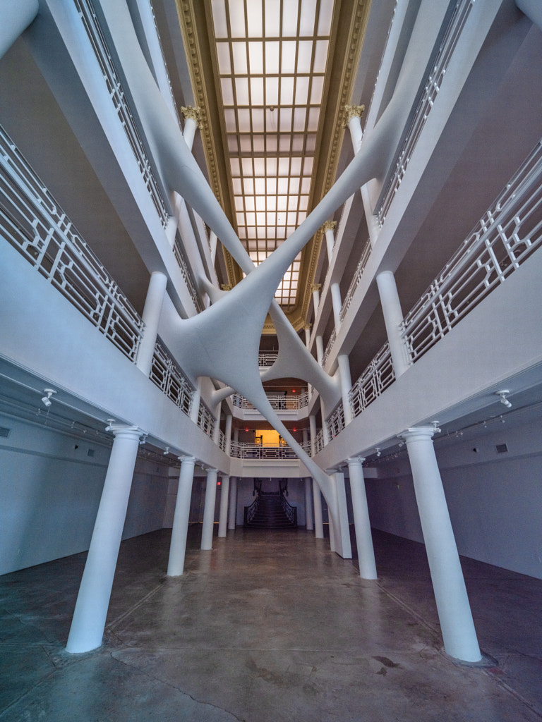 Laowa 17mm by Louis Ferreira on 500px.com