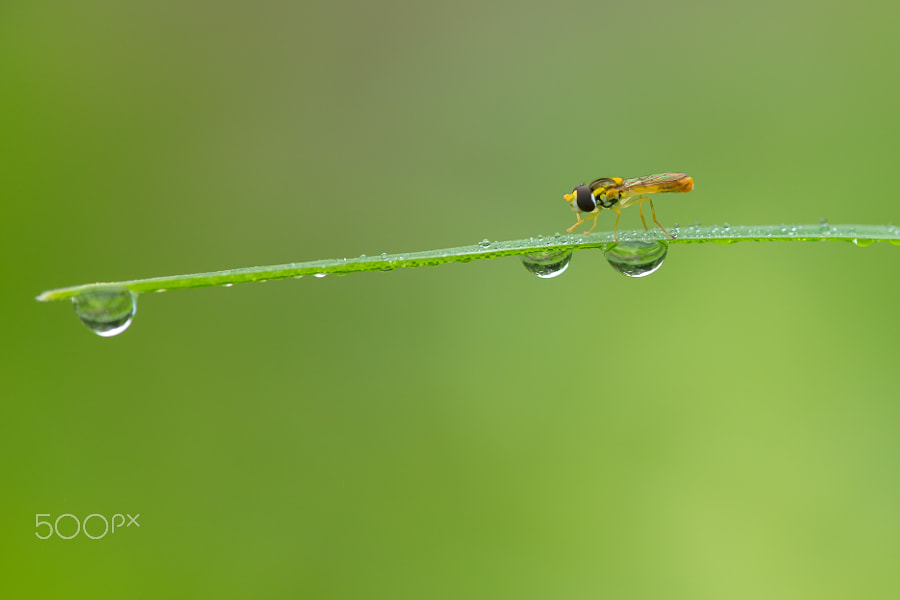 背景幕photos 500px