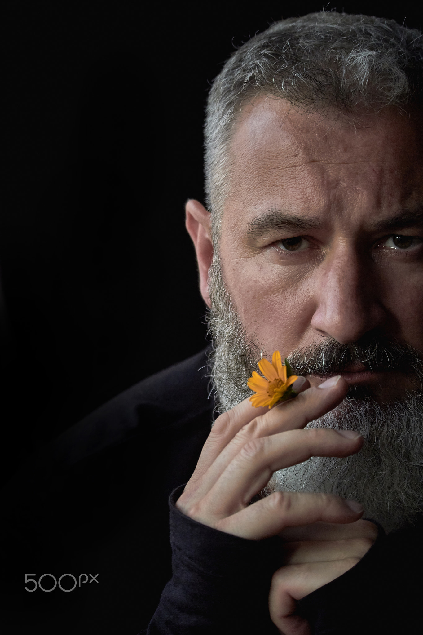 Portrait of a brutal gray haired man with a beard with a sly expression on his face and a yellow flo