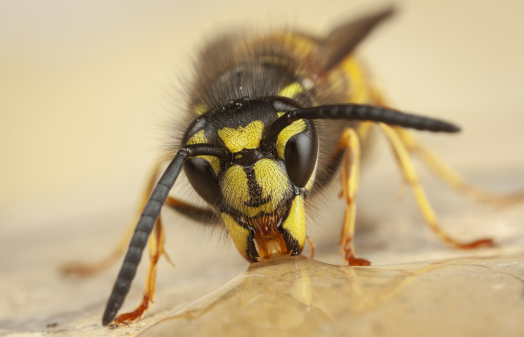 IMAGE: https://drscdn.500px.org/photo/1000738052/m%3D900/v2?sig=118d869eec8433ab77eba4dccd67f128bb1b9a9694f332fd9066d5f784882ea8