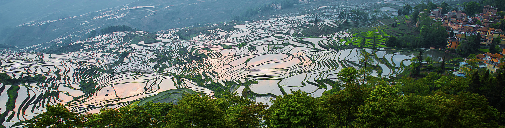 Yunnan, Yuanyang Rice Terrance, China， 云南, 元阳哈尼梯田
