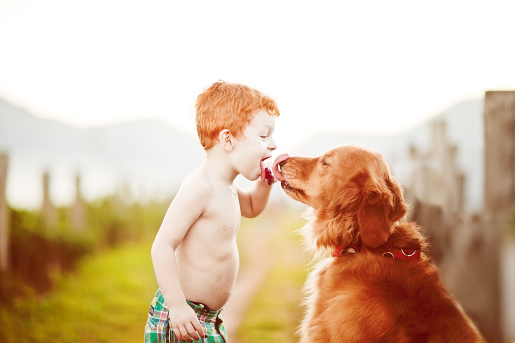 Summer Shared by Marcia Fernandes on 500px.com