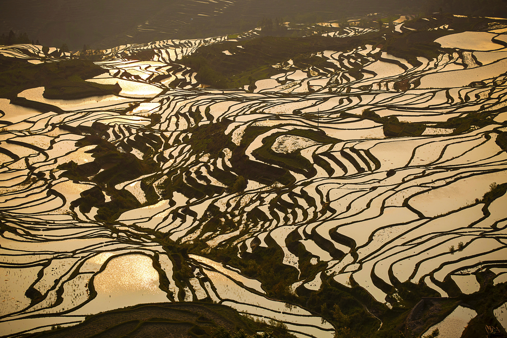 Yuanyang Rice Terrance, China,Yunnan, 云南,元阳哈尼梯田,多依