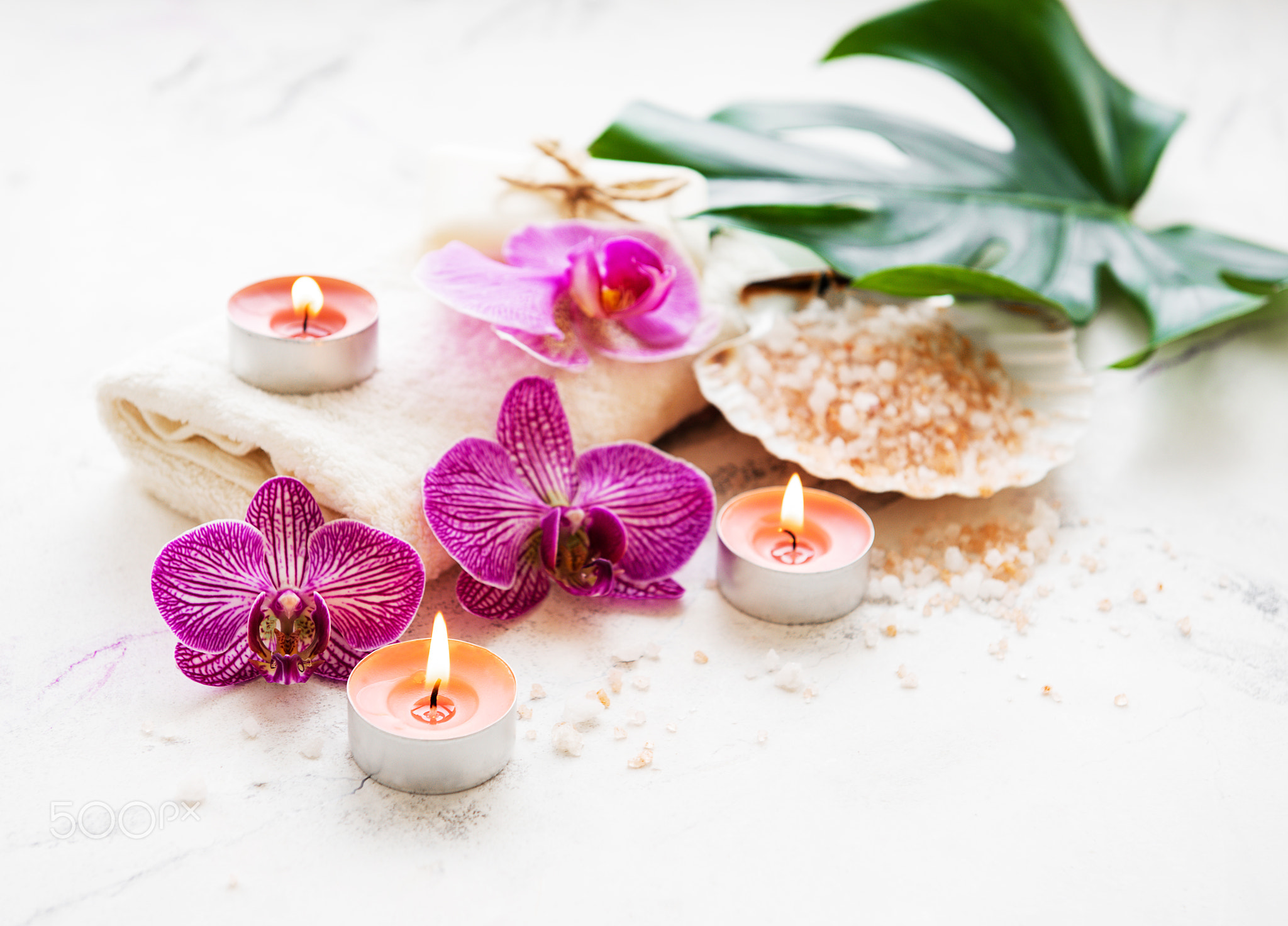 Natural spa ingredients with orchid flowers