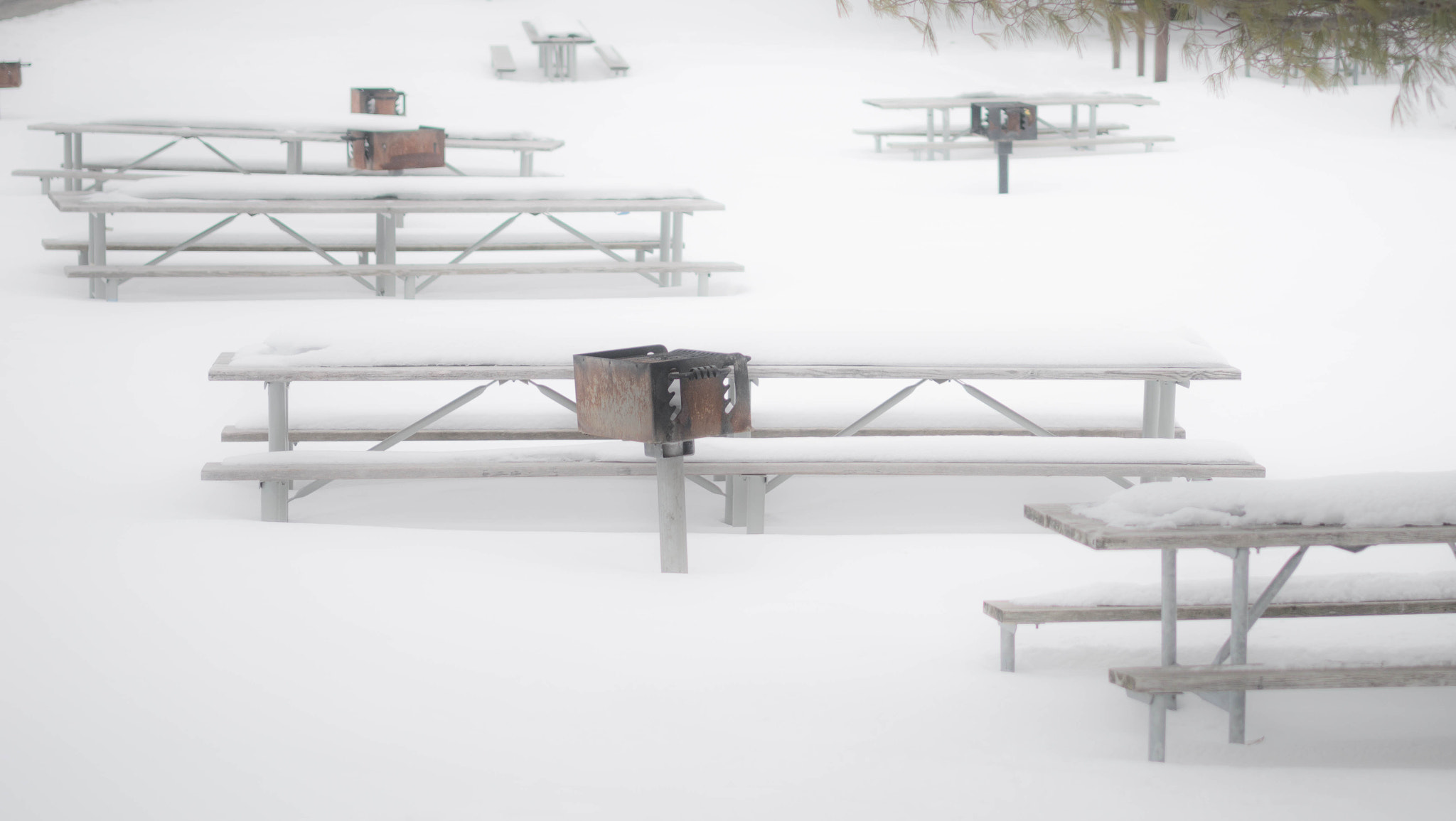Winter scene in NJ - benches at Sheppard Lake