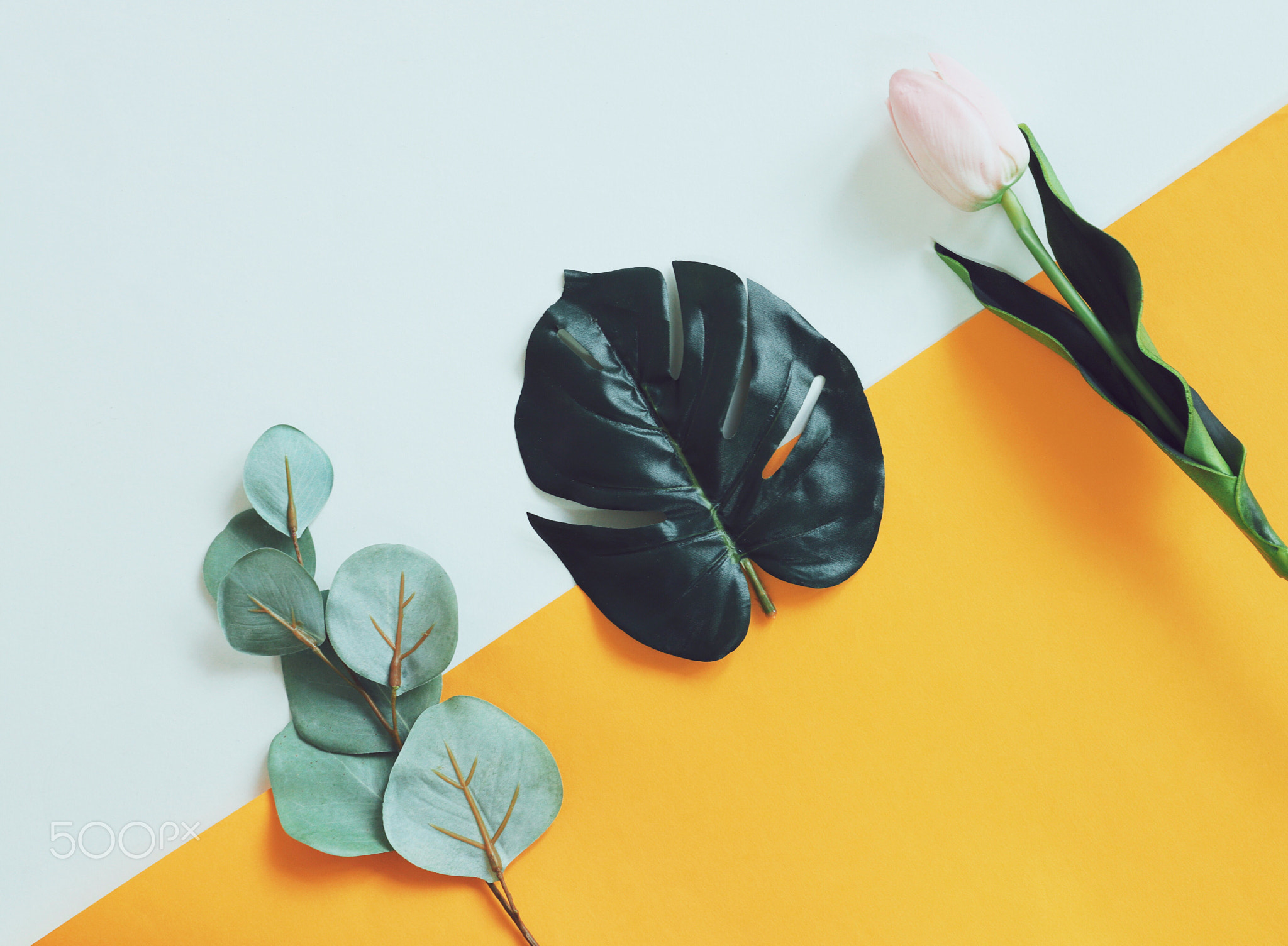 Flat lay of flower and plant on yellow and white