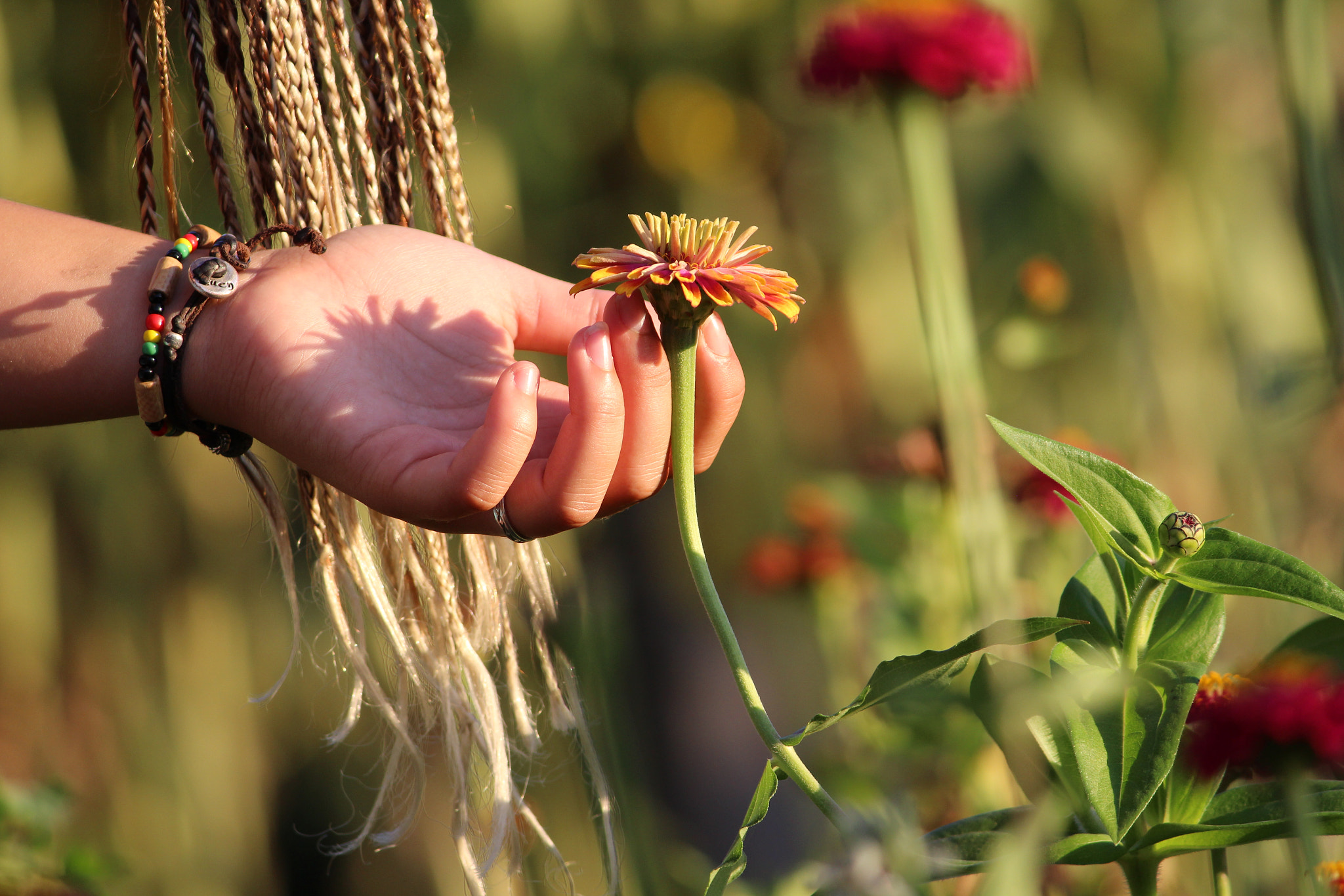 Tocando la sencillez