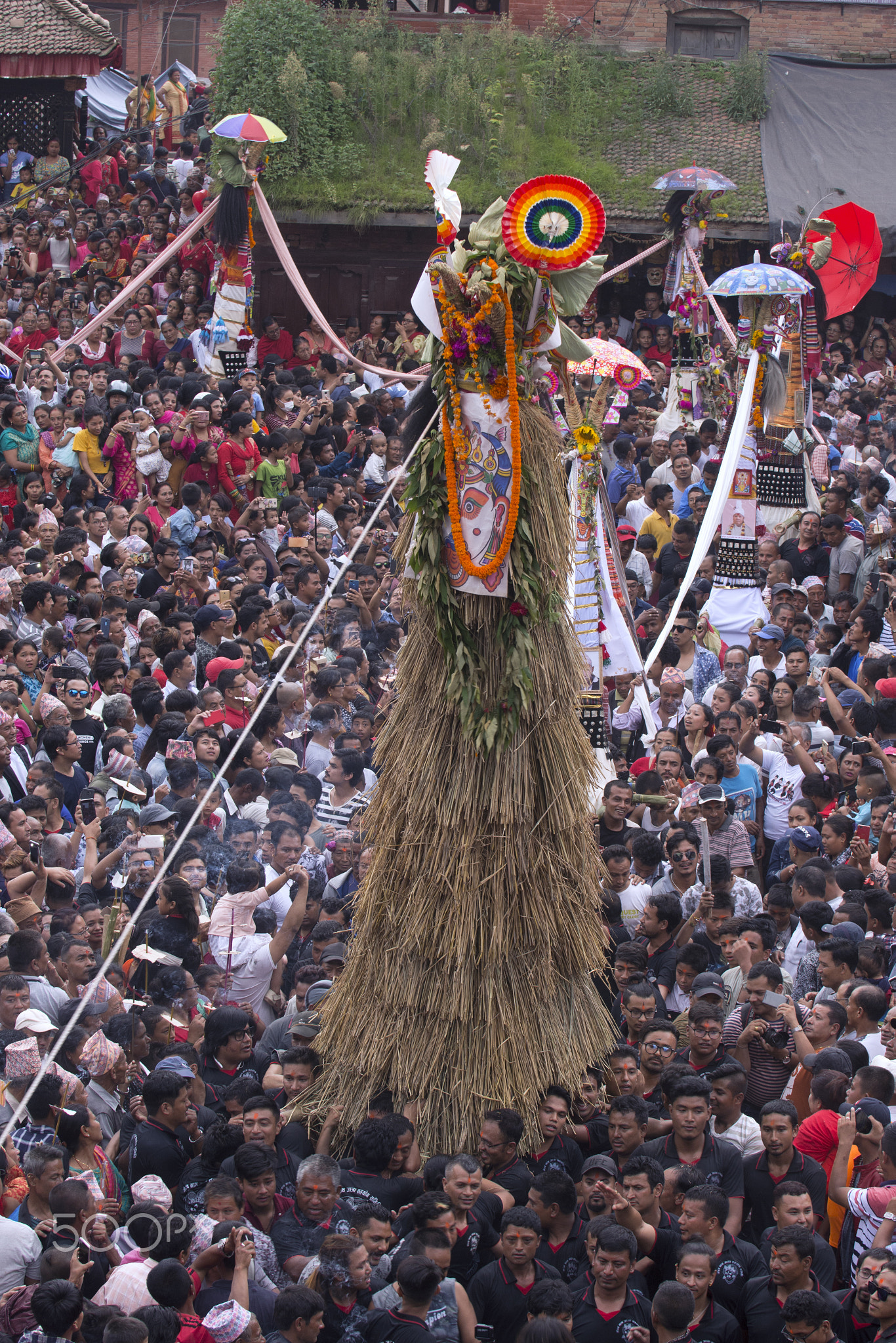 Gaijatra Celebration