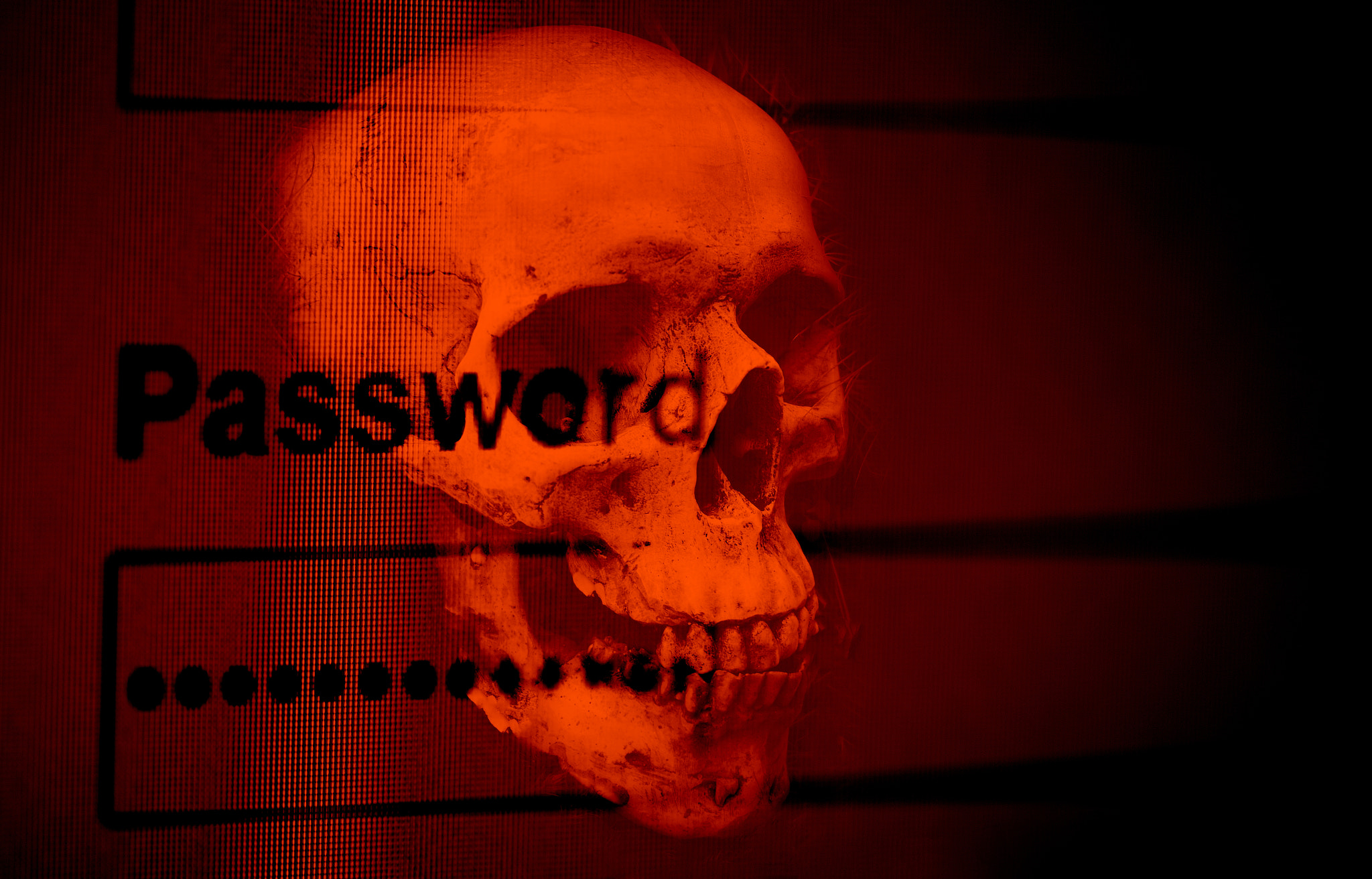 Password security cyber thief protection verification data syste