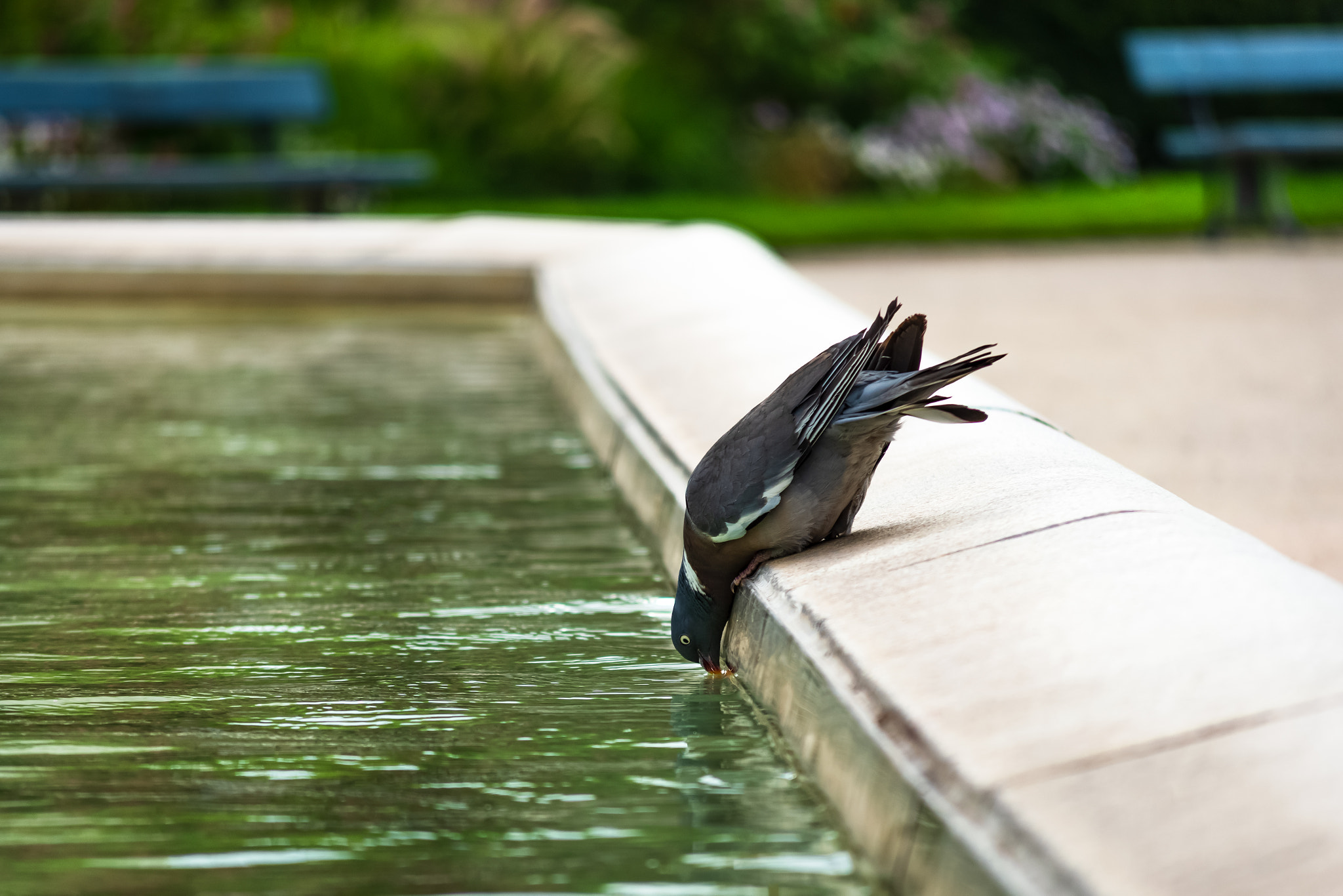 Pris au bon moment !