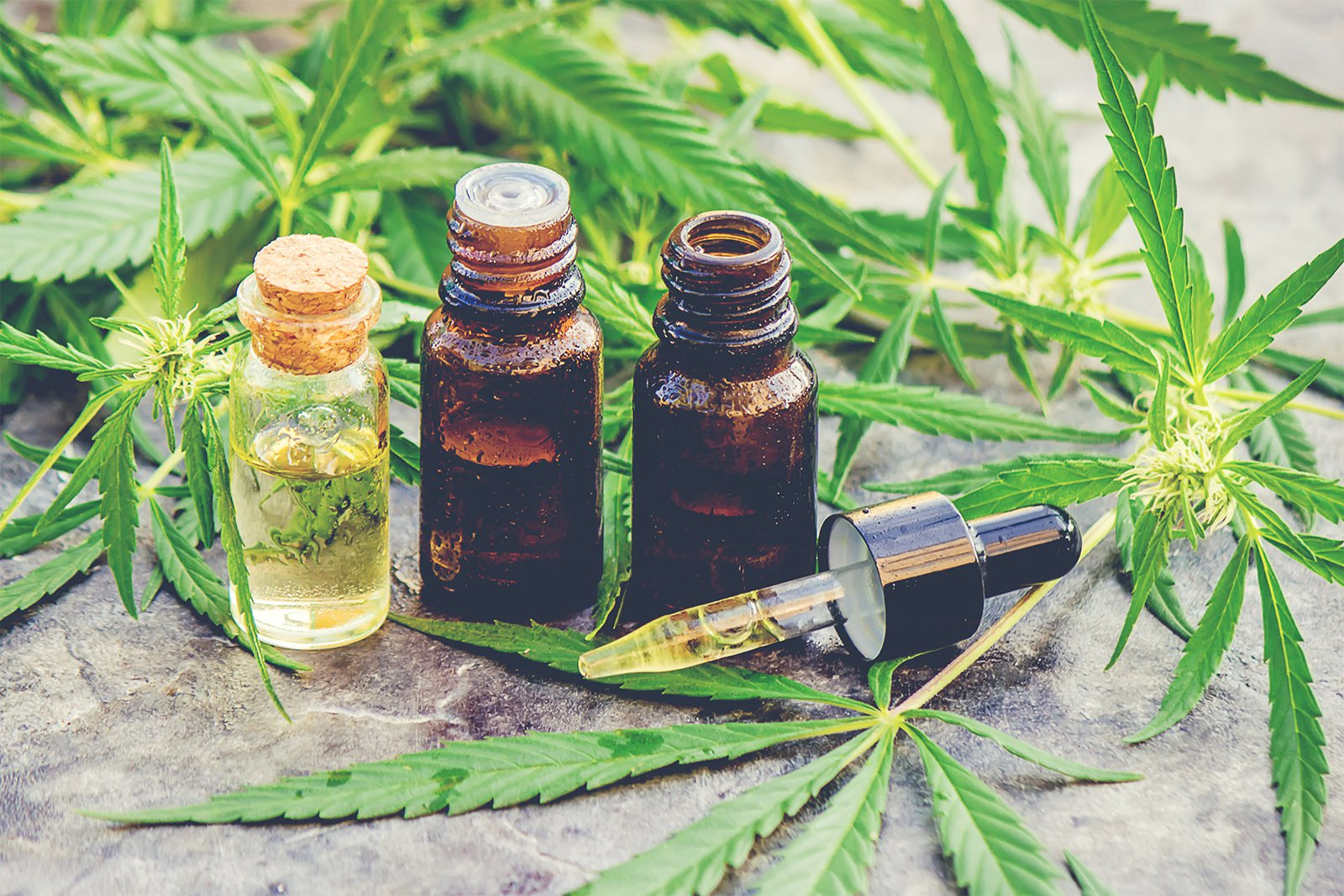 Canada Weed Supplier kitchener