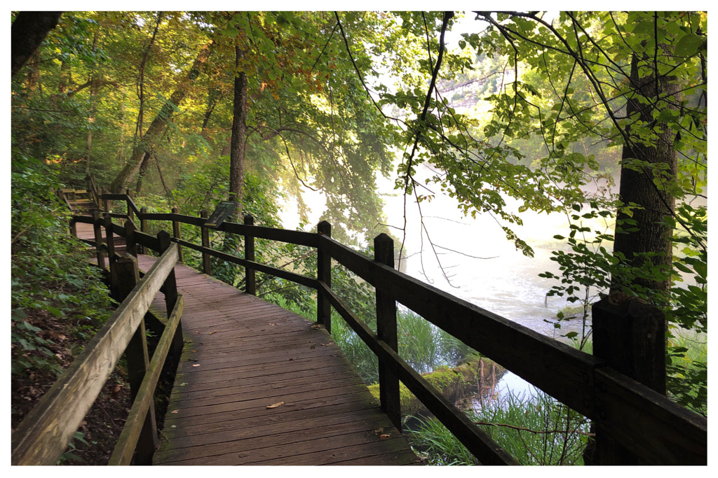 Untitled by Jacqueline and Kevin Reape on 500px.com