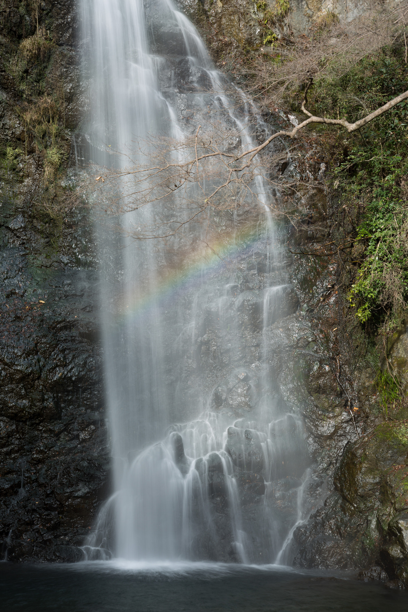 Waterfall and Rainbow