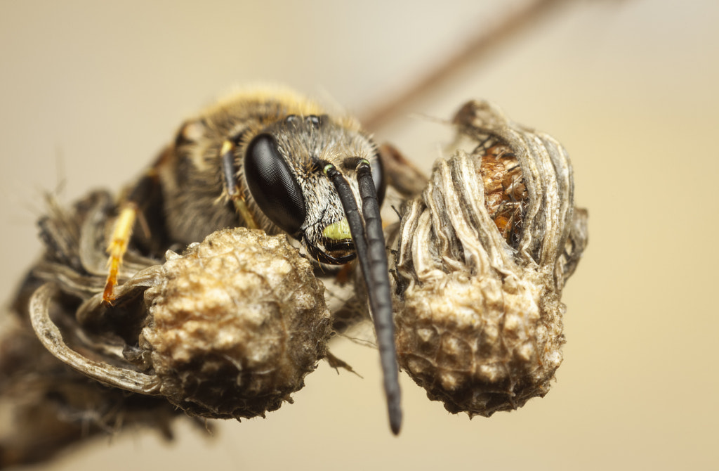 IMAGE: https://drscdn.500px.org/photo/1001657793/m%3D900/v2?sig=071c46c1e54876284976f5669f3d99d61cfa345fcb56dbaa5883c6c929259765