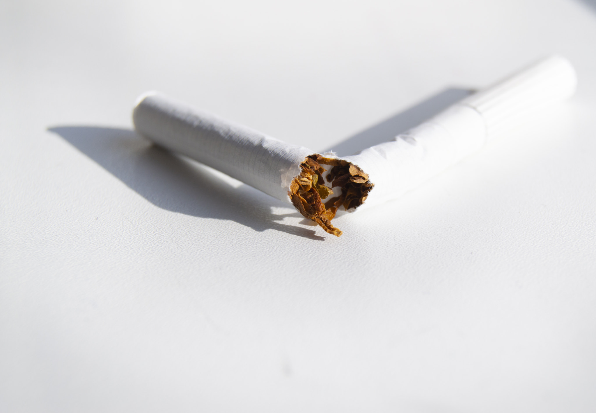 Broken cigarette on white background, Smoking cessation concept