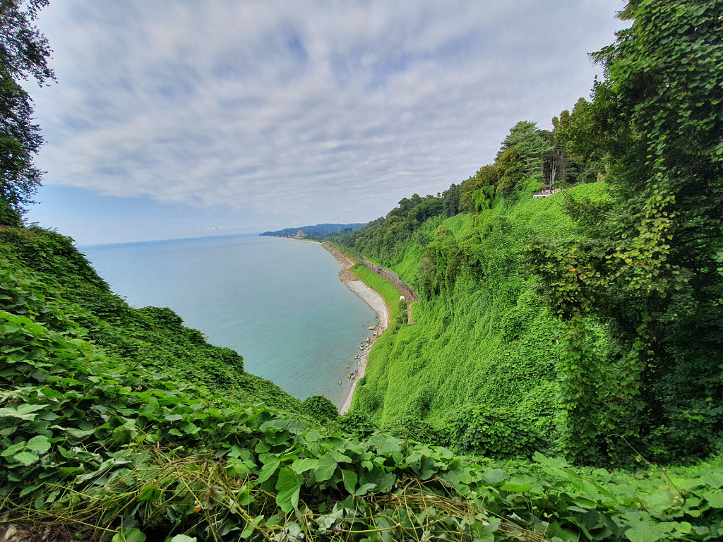 Batumi Botanical Garden - Georgia by Suzan Bakleh on 500px.com