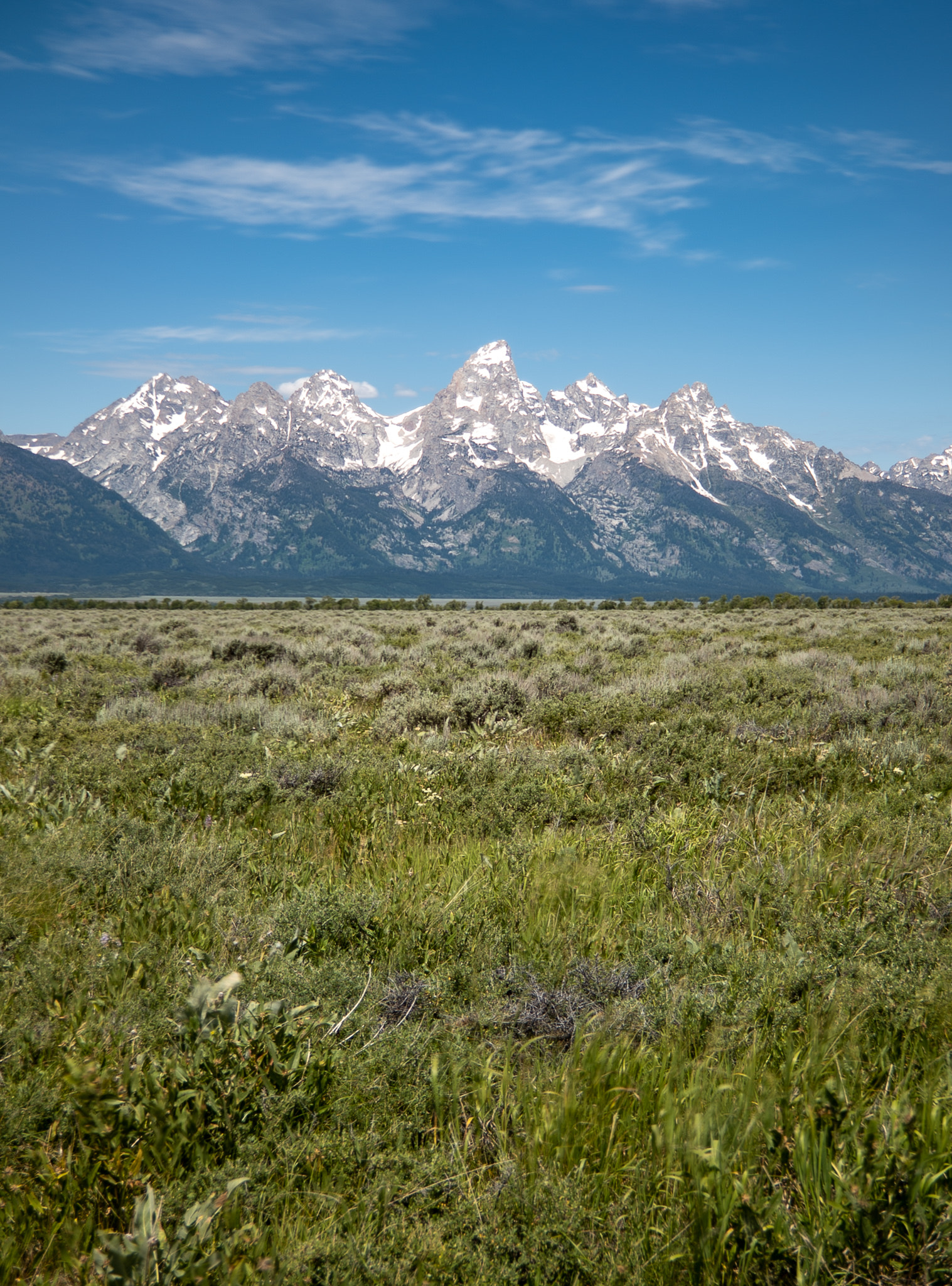 A Jackson Landscape