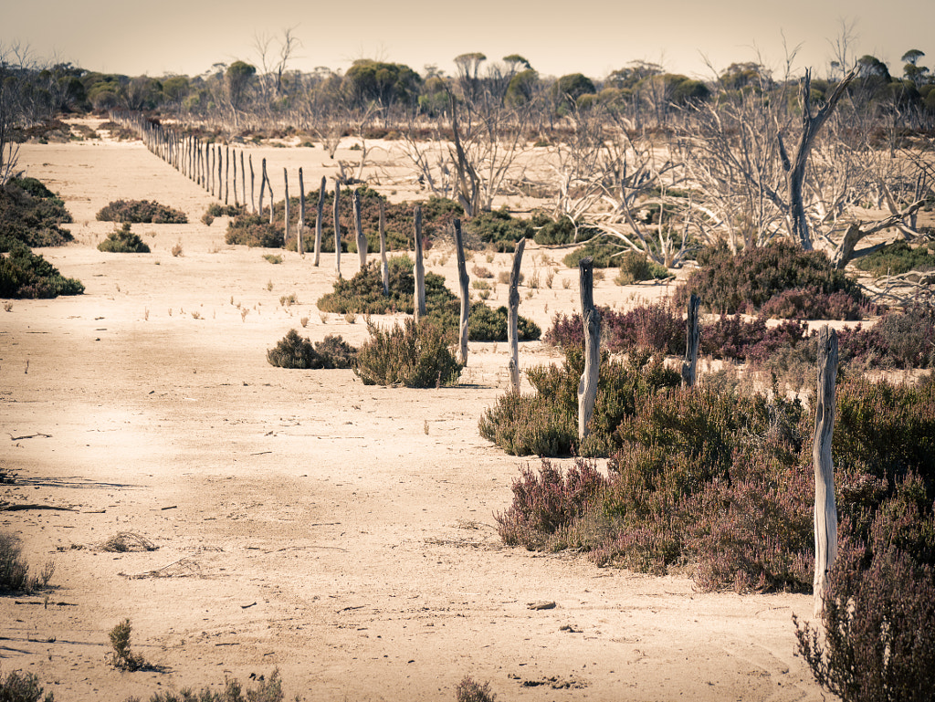 Fence Line by Paul Amyes on 500px.com