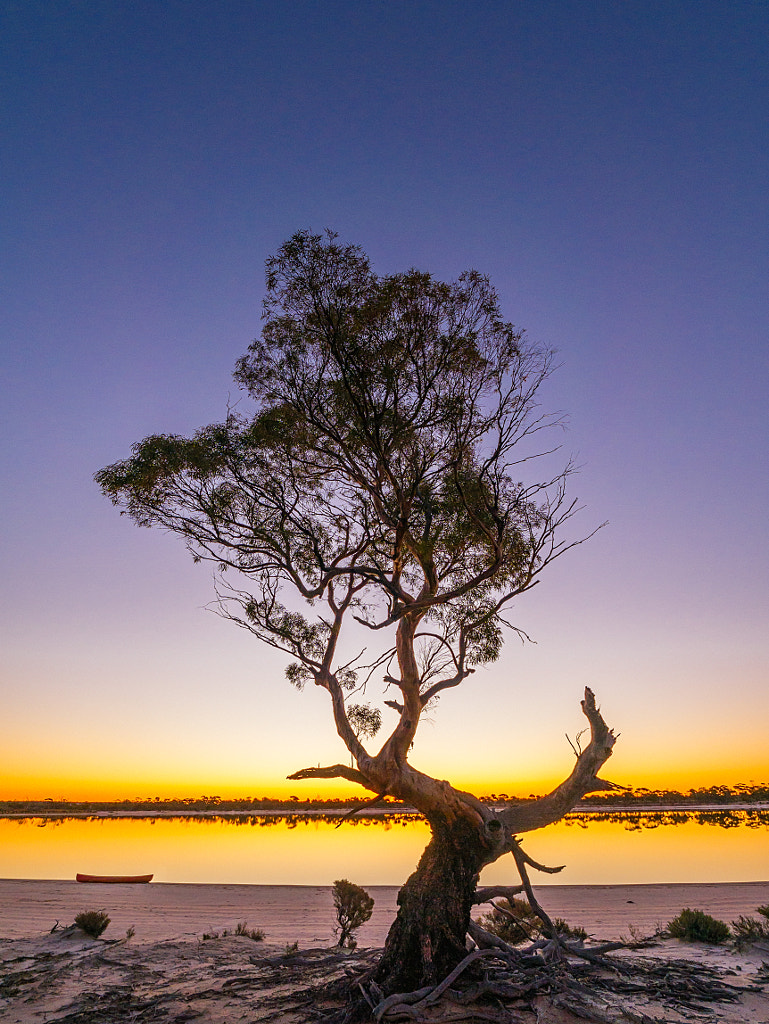 Magical Sunset by Paul Amyes on 500px.com