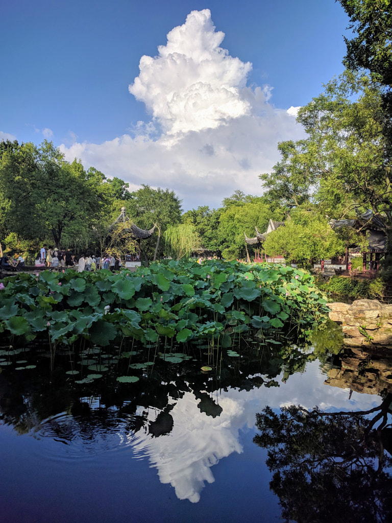 Humble Administrator's Garden @ Suzhou by Long Zhang on 500px.com