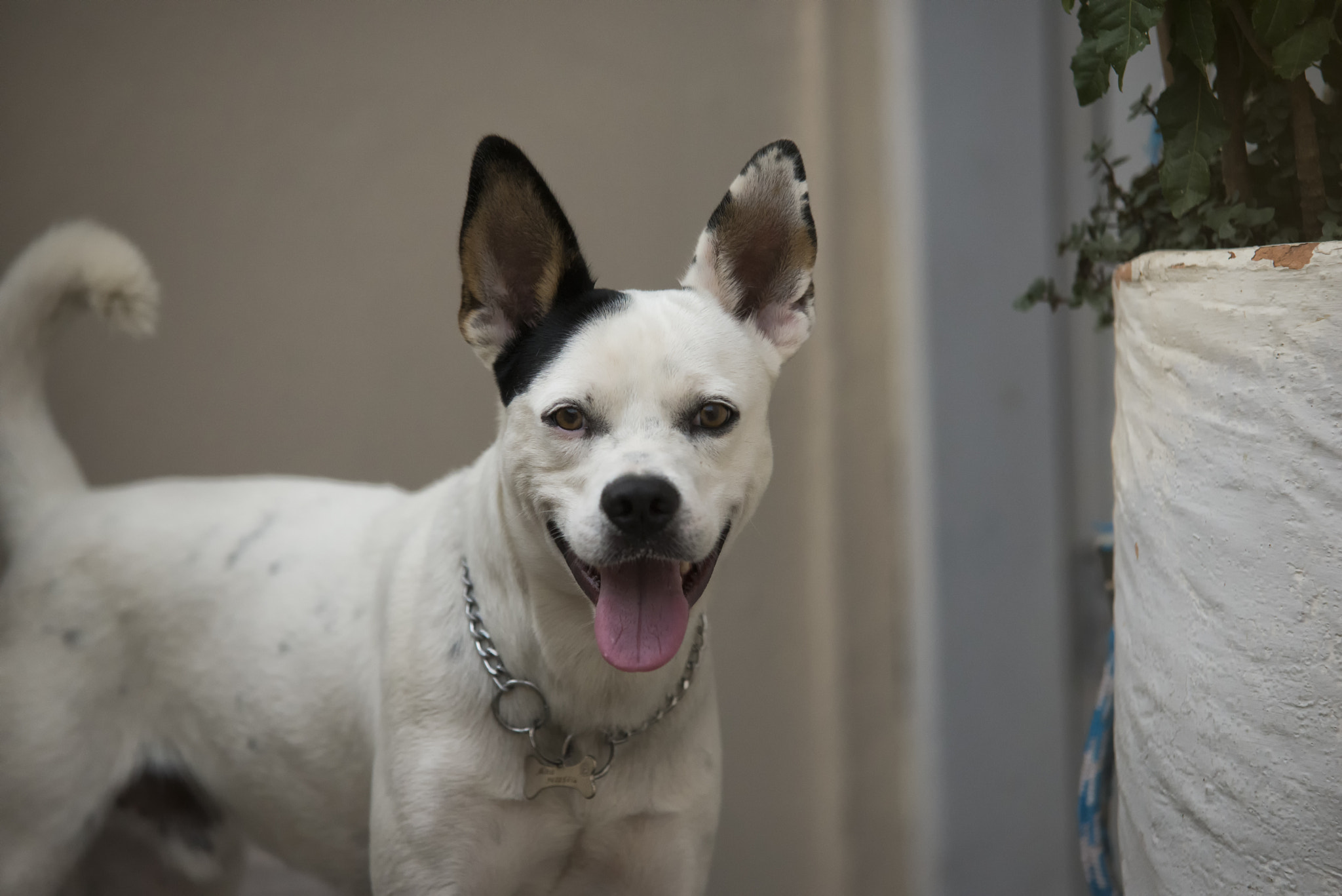 Nino in the top of the staircase