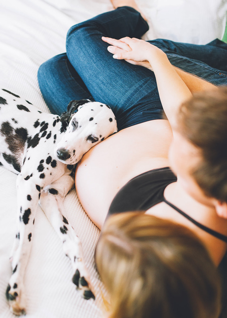 Dalmatian and his Family by Bojana Korach on 500px.com