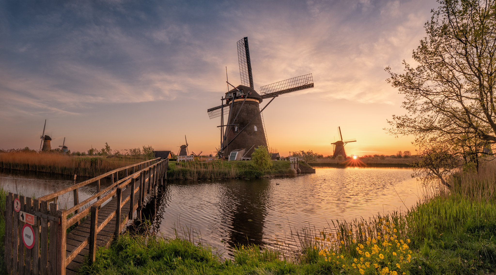 ÐÐ°ÑÑÐ¸Ð½ÐºÐ¸ Ð¿Ð¾ Ð·Ð°Ð¿ÑÐ¾ÑÑ windmill