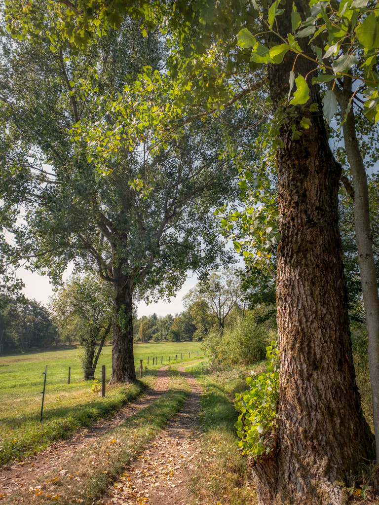 lane by dirk derbaum on 500px.com