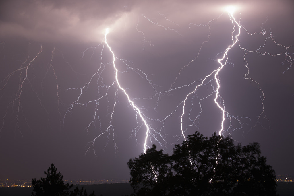 Lightning Tree by Jure Batagelj on 500px.com