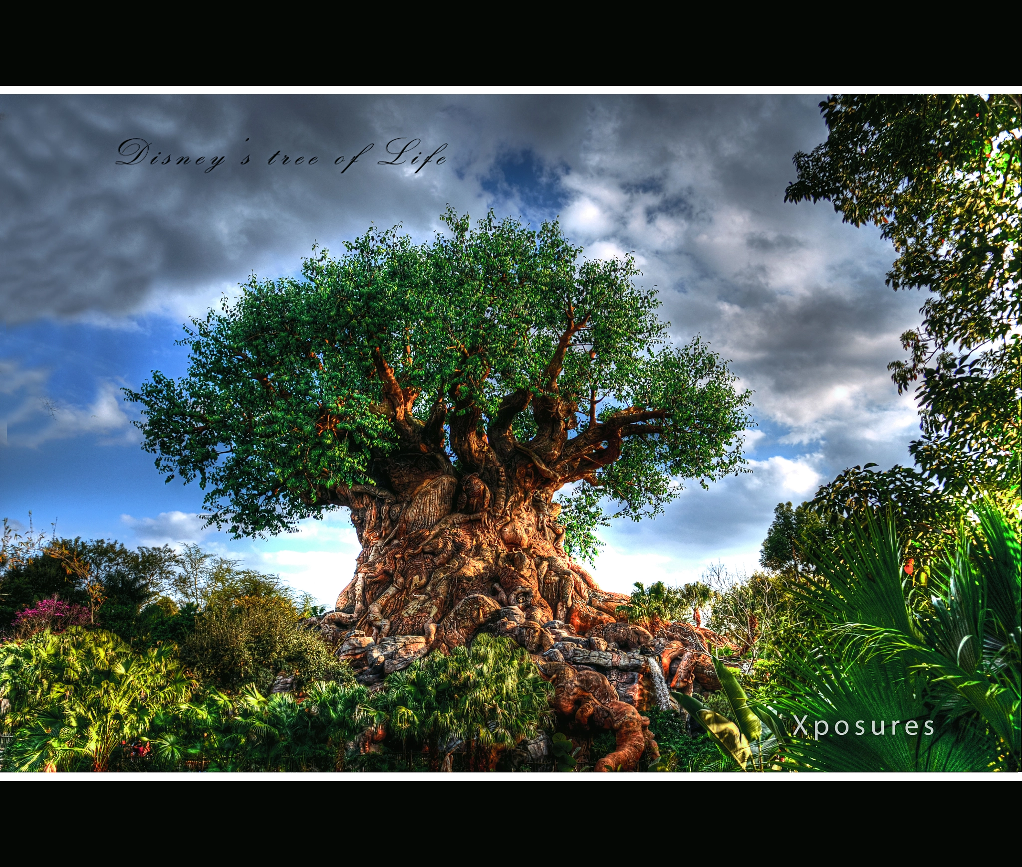 Top 27+ Stock Photos what movie is the tree of life from disney Stunning