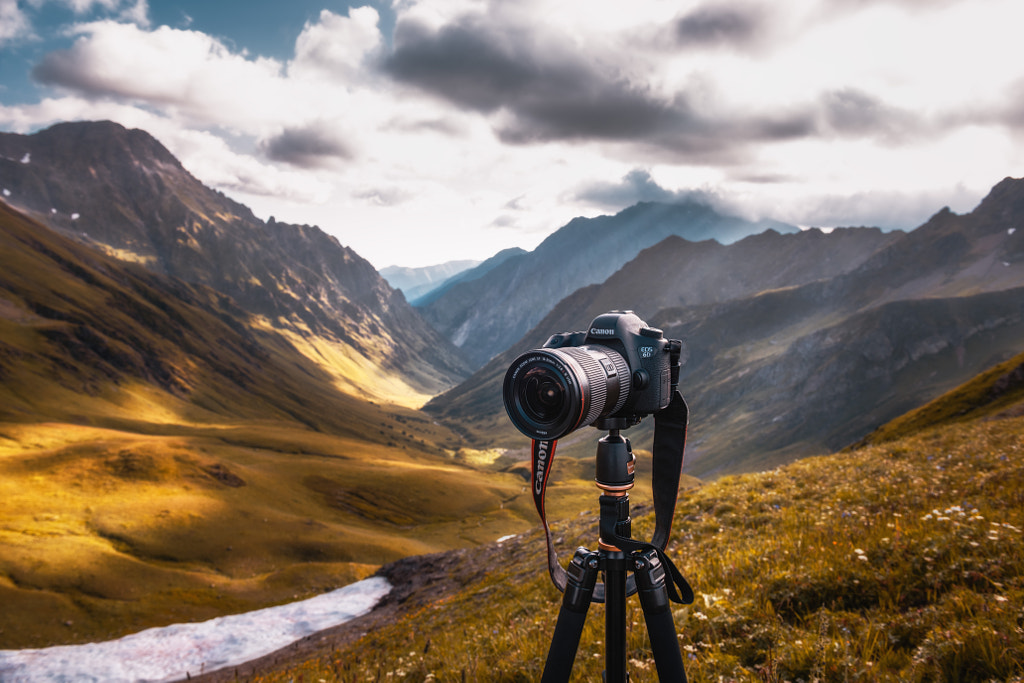 My faithful companion by Sergy Shaby on 500px.com