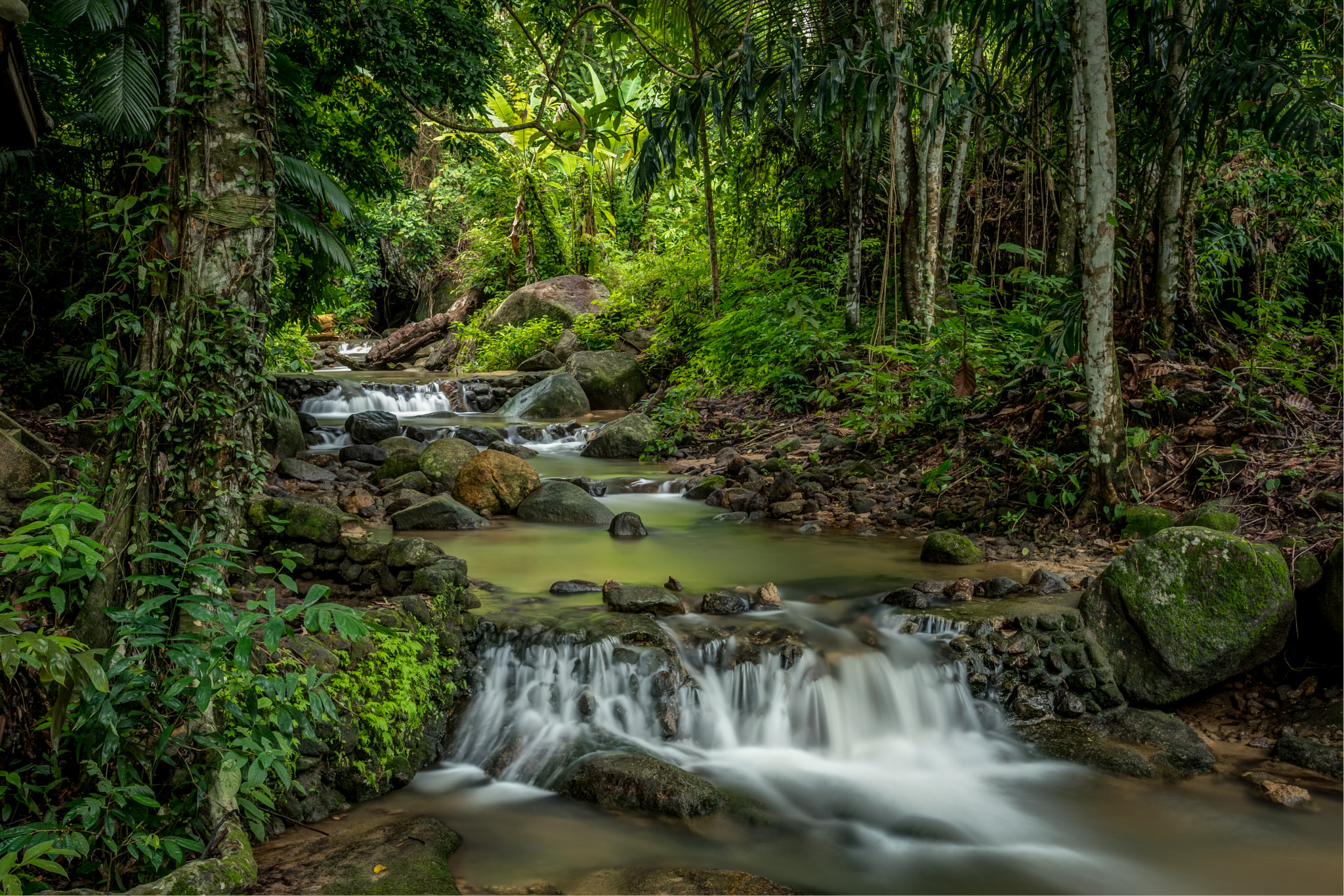 The Sound and Smell of Nature