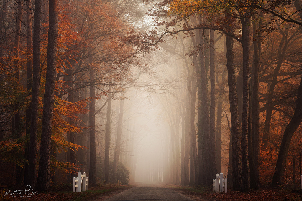 Autumn by Martin Podt on 500px.com