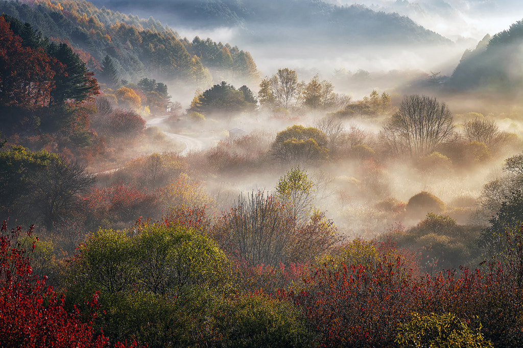 dream of autumn by c1113  on 500px.com
