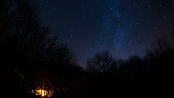 depositphotos stock video starry sky over the forest