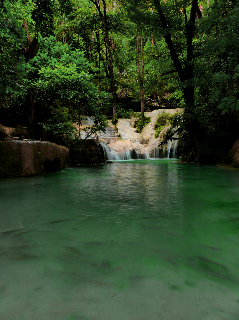 Somewhere in the Thai jungle  by Yves LE LAYO on 500px.com