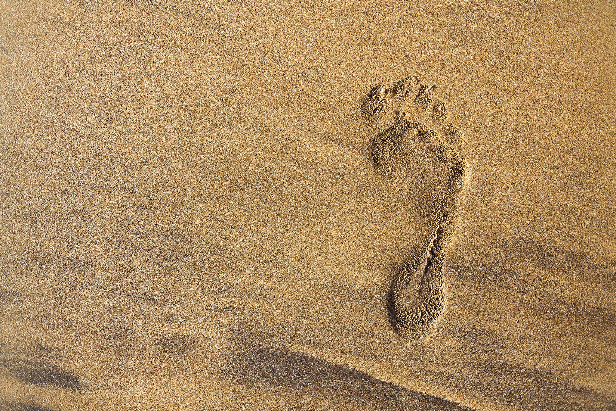 Single human barefoot footprint of right foot in brown yellow sand beach background, summer vacation