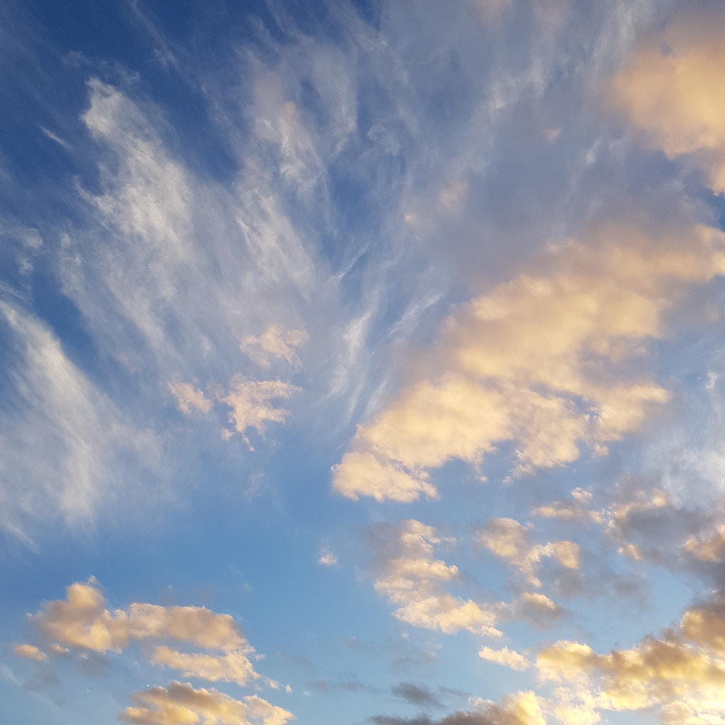20190706_164844.jpg by Elizabeth Fitzgerald on 500px.com
