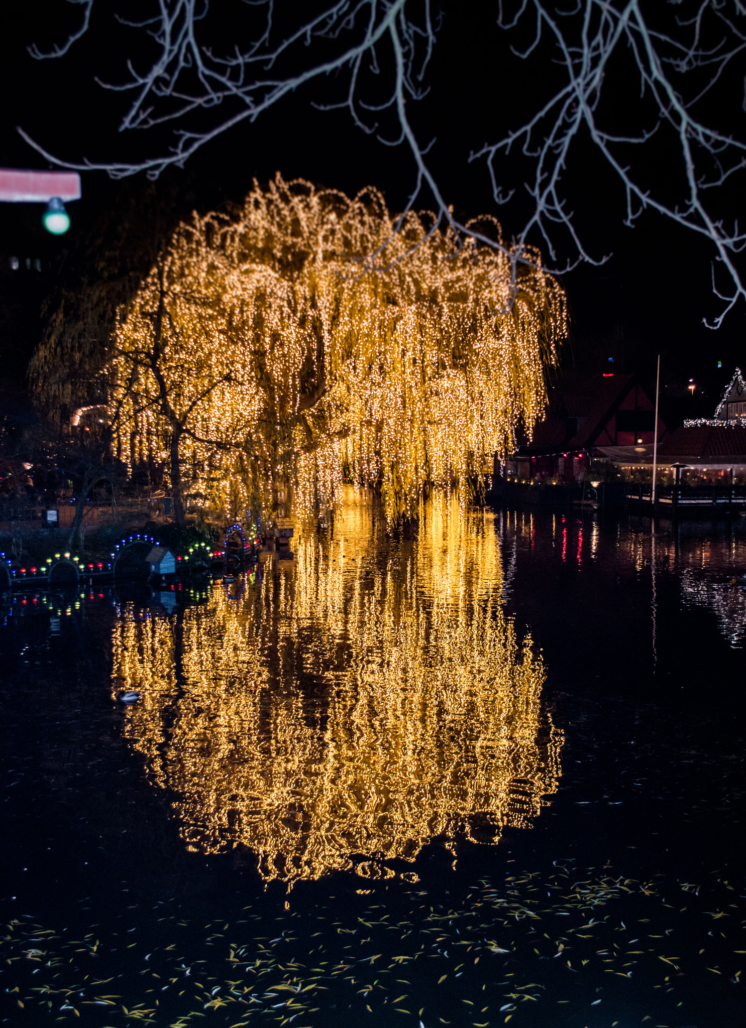 Yellow lamps illuminated tree