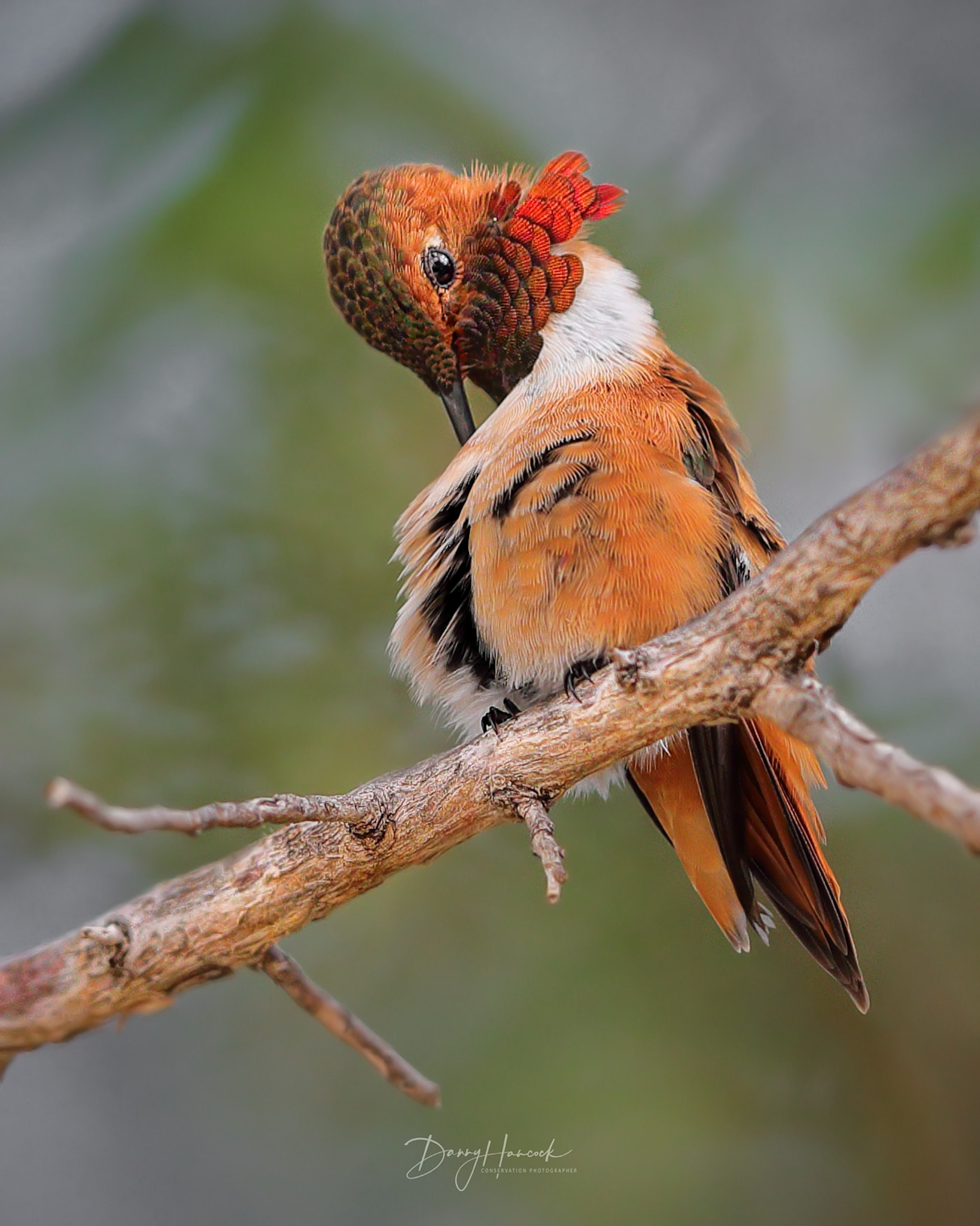 v2?sig=6b63976e566e31cc36e3308995cb69ec195059d05a23ea7417095d30a00d1d79