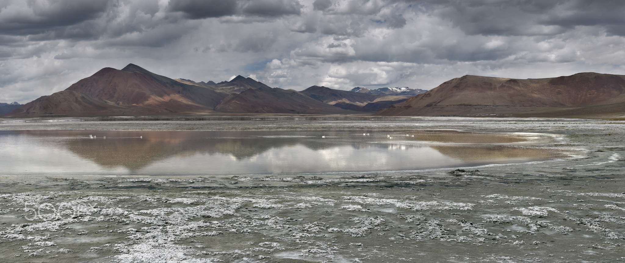 Tso Kar Lake, Ladakh