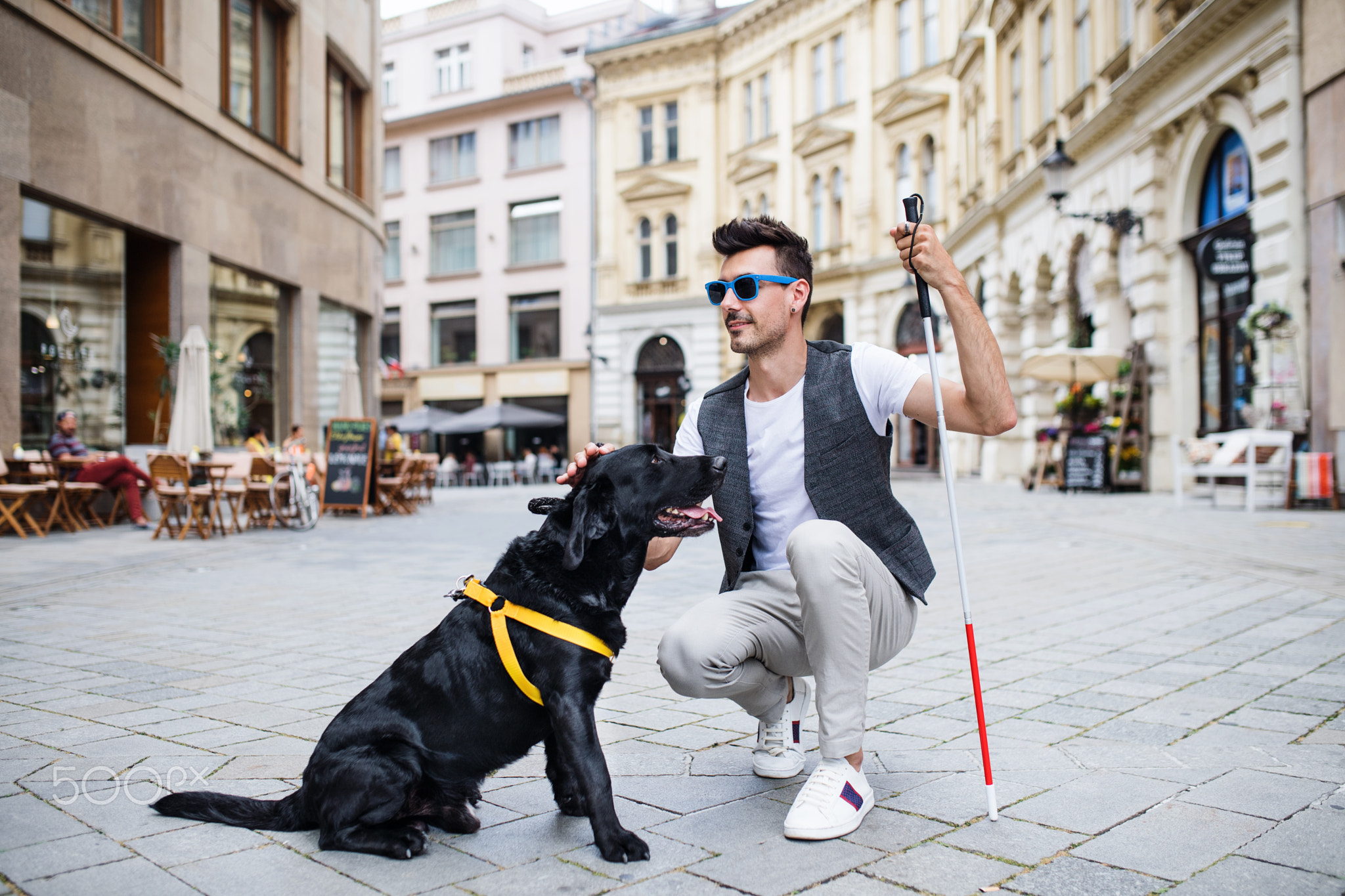 Young blind man with white cane and guide dog on pedestrain zone in city.