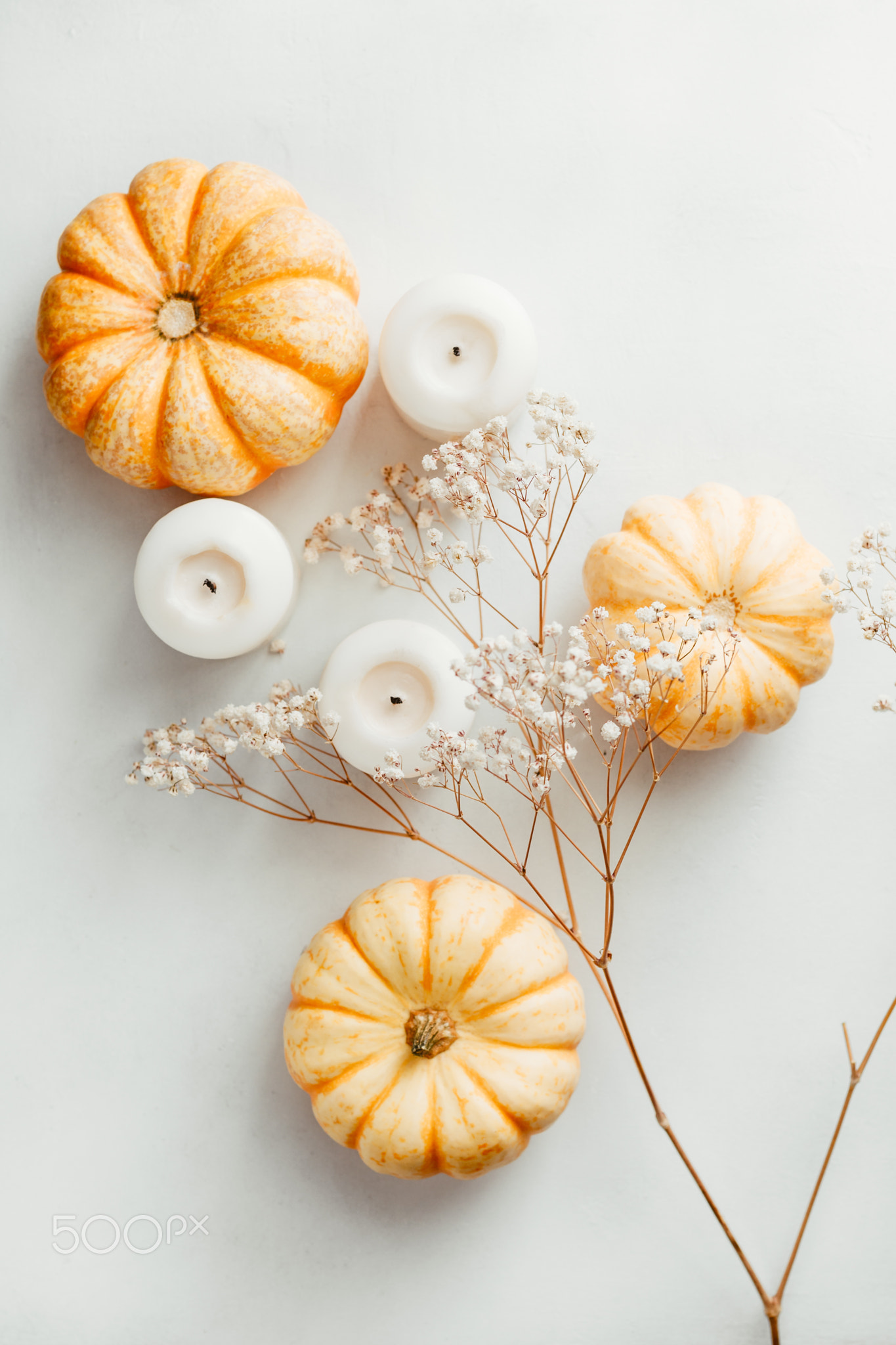 Flat lay composition of small pumpkins on a white background with decor. The concept of Thanksgiving