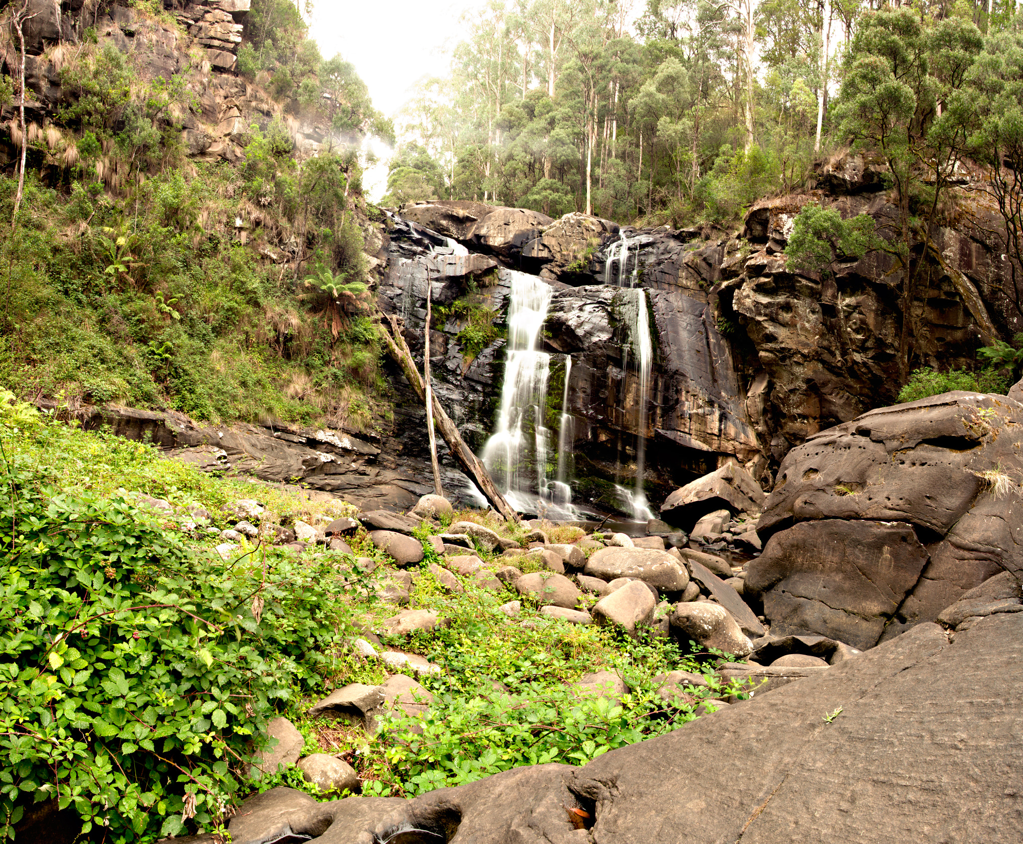 Stevenson Falls